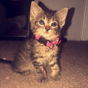 Meet your Posher, Kylee